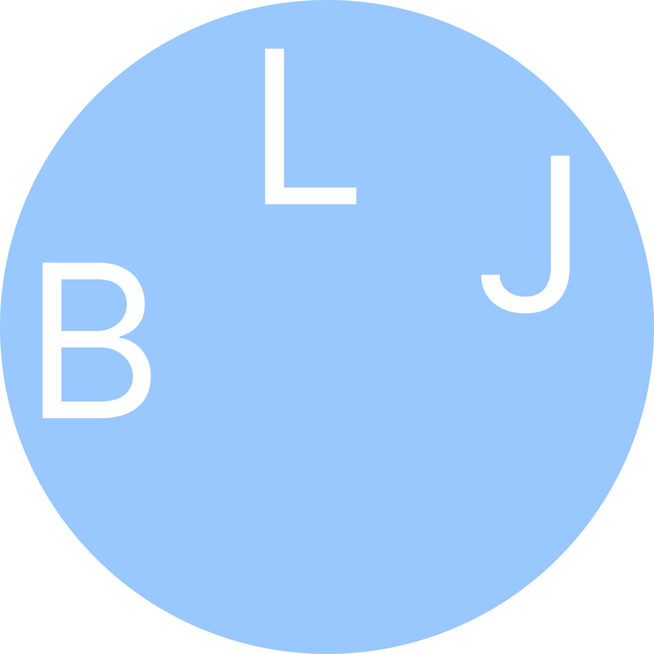 BridgeLink Japan Logo
